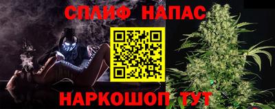 шишки Кинель