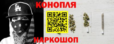 шишки Кимры