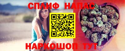 шишки Кинель