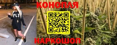 jwh Кингисепп