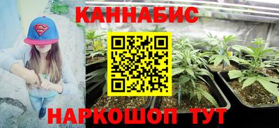 шишки Кимры
