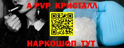 jwh Кингисепп