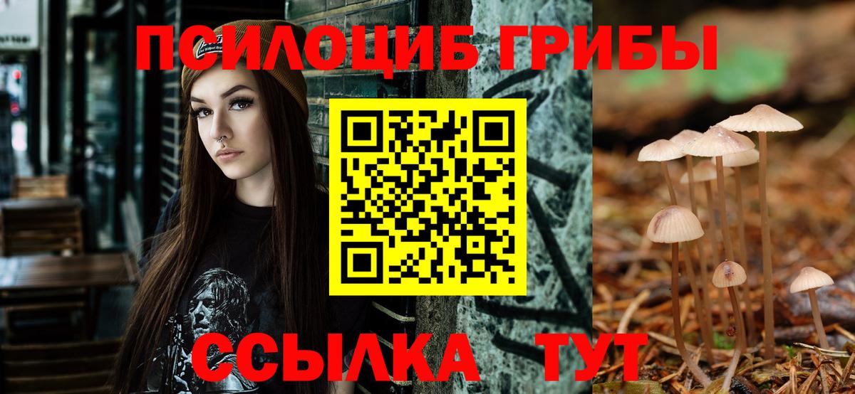Галлюциногенные грибы GOLDEN TEACHER  купить наркотик  Глазов  Вход с VPN 